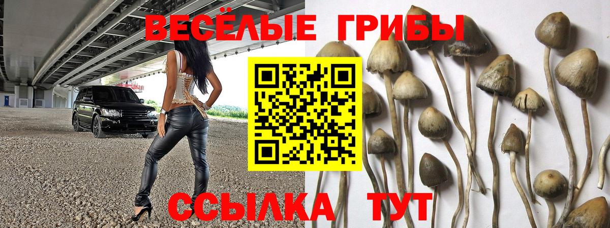 Псилоцибиновые грибы MAGIC MUSHROOMS  Вход с VPN  Советская Гавань 