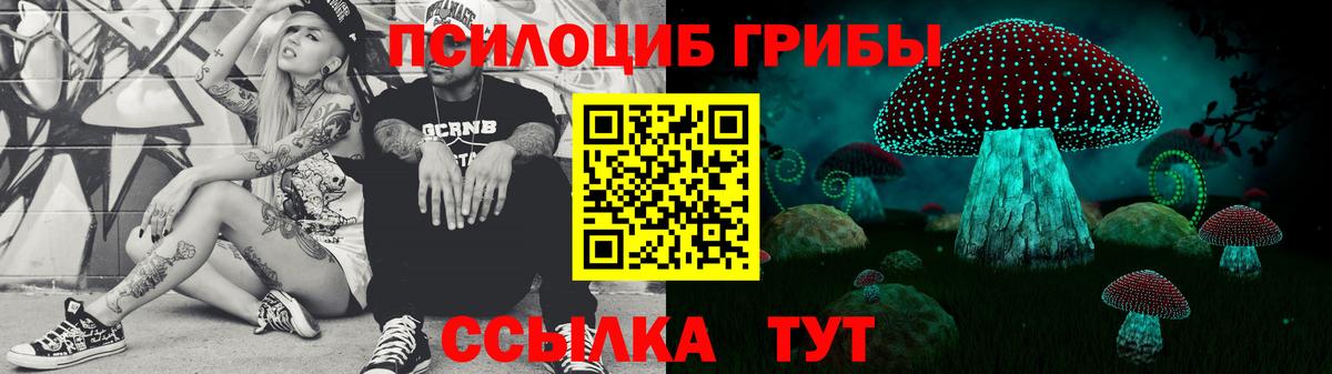 Псилоцибиновые грибы GOLDEN TEACHER Советская Гавань